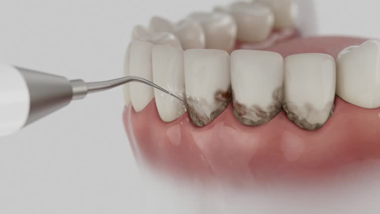 Reliable Dental contractor in Webberville, MI by Dentist Open Now